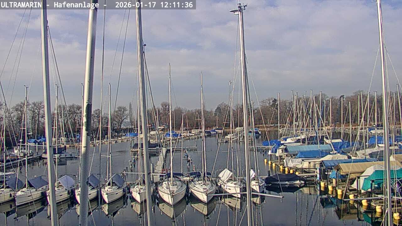 17.01.2026 12:01