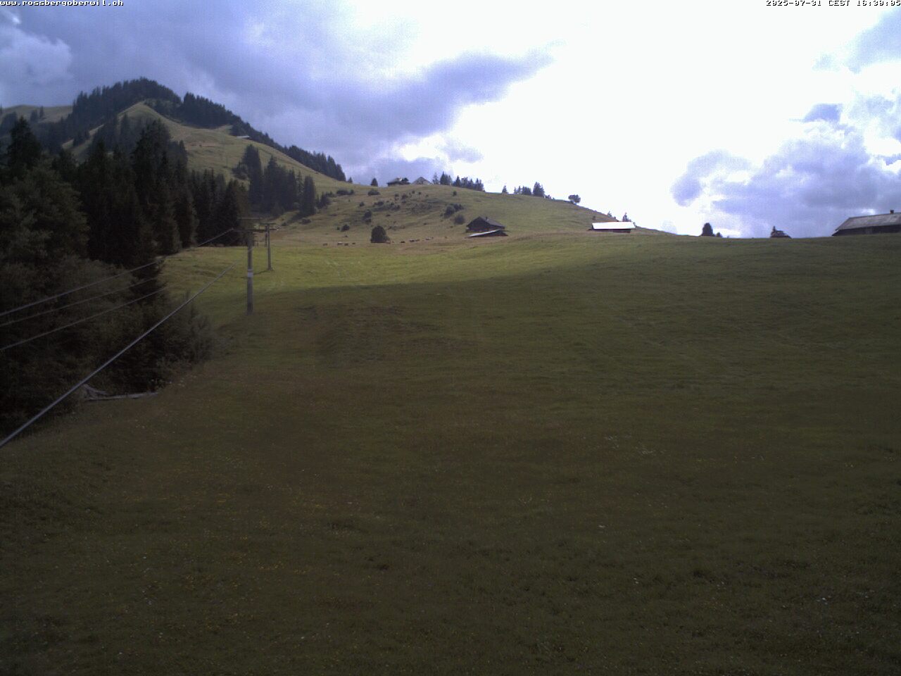 40h ago - 16:30