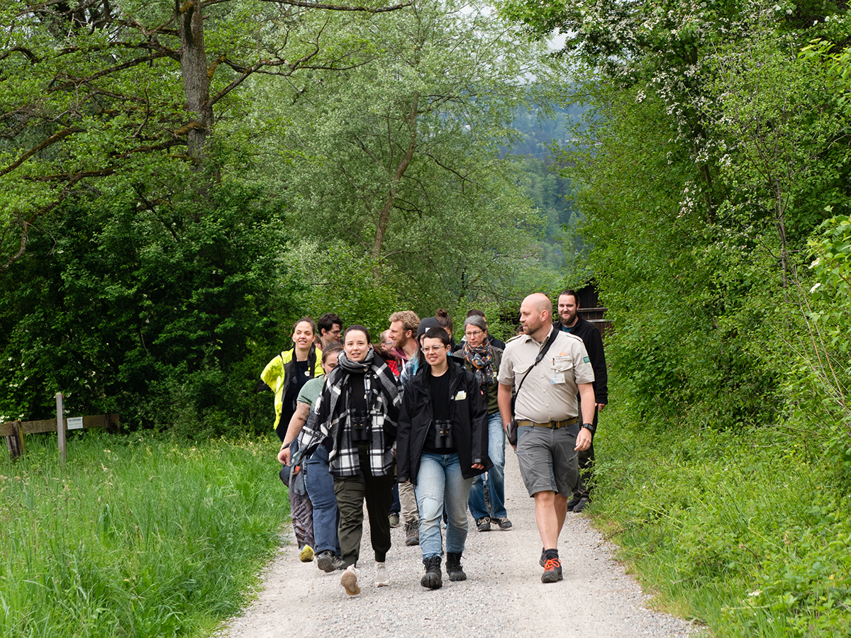 Vom Pfäffikersee zum Greifensee – Wanderung mit Rangern beider Gebiete