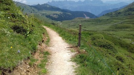 Spitzmeilengebiet