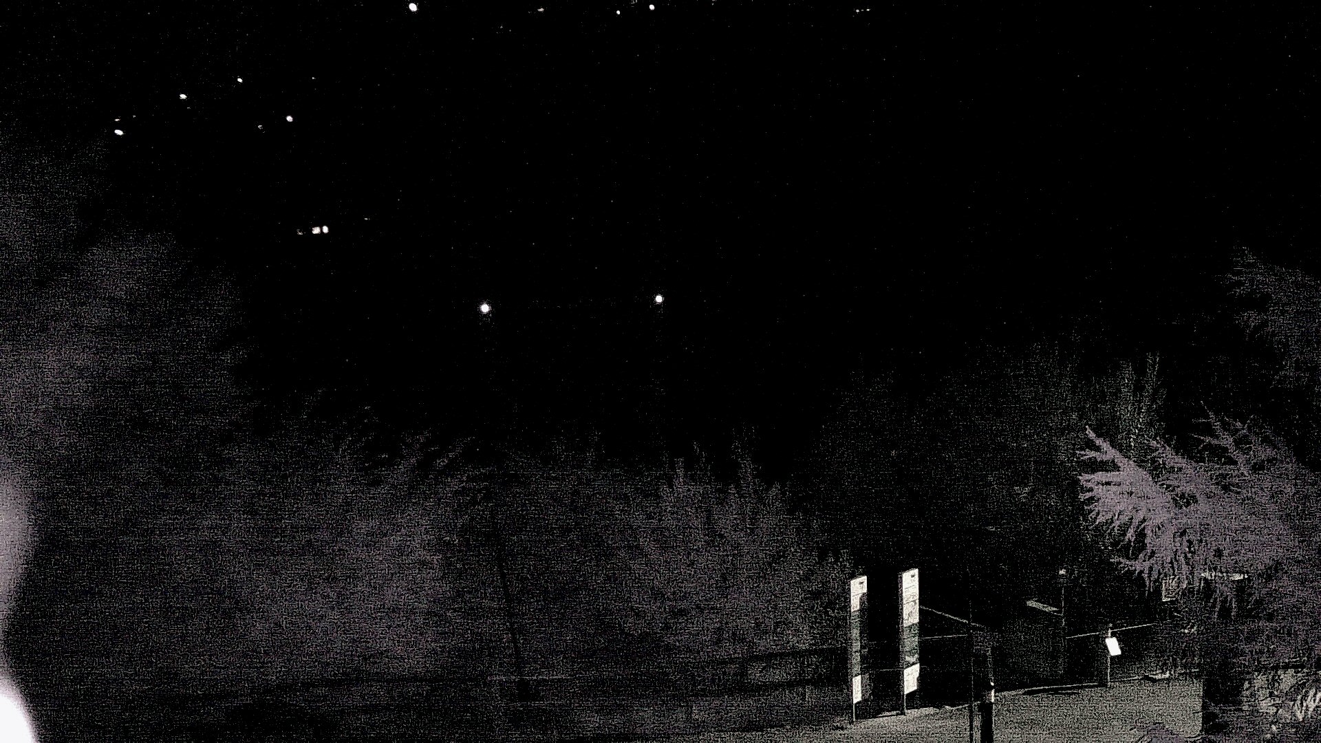 32h ago - 01:36
