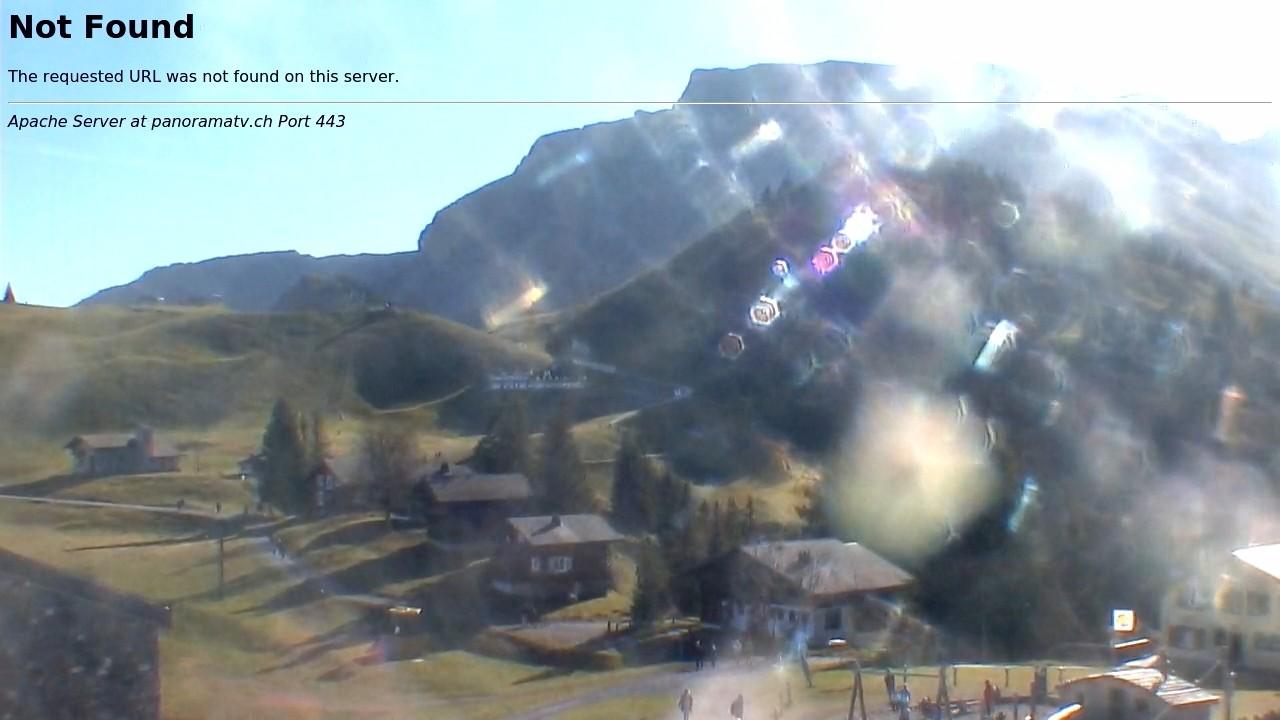 10.11.2024 12:00