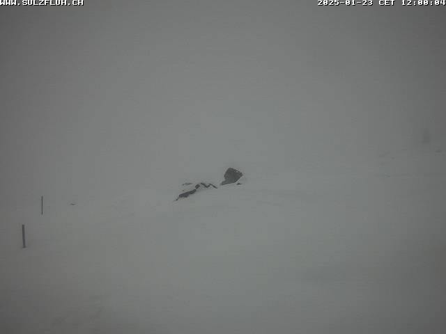 23.01.2025 12:00