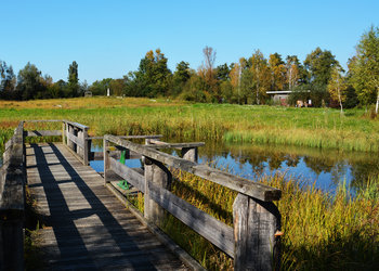 Naturstation Silberweide Herbst