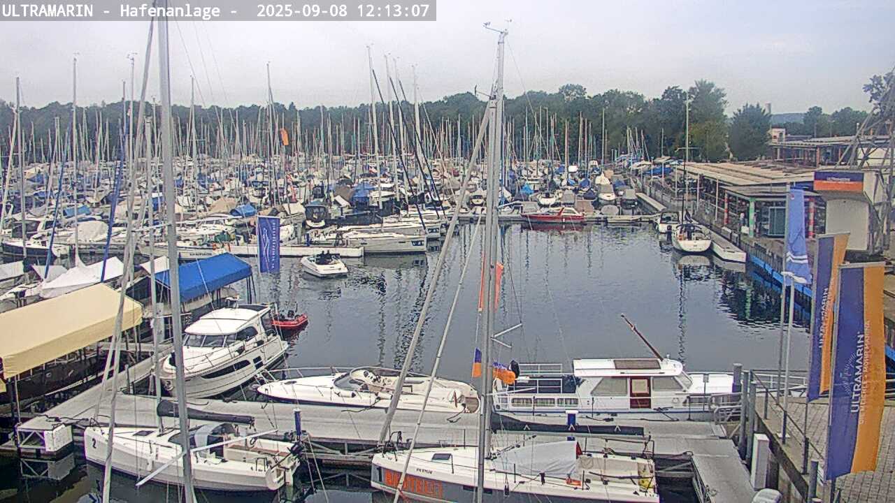 08.09.2025 12:01