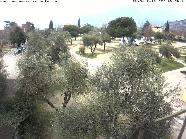 18.02.2025 12:20
