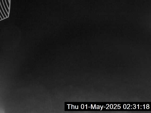 8h ago - 02:31