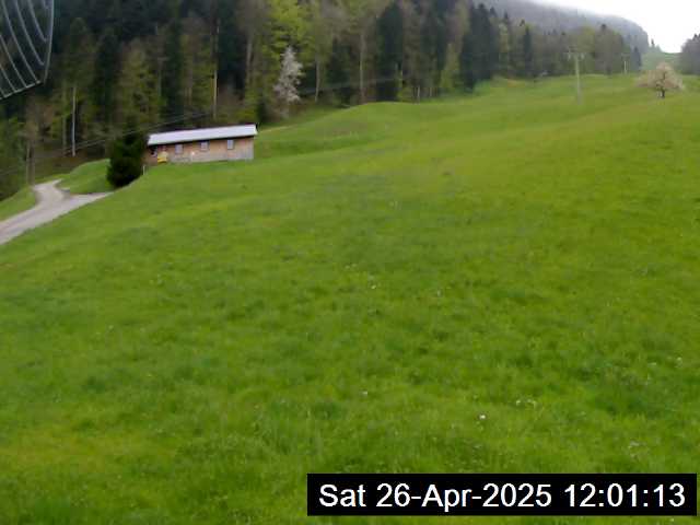 26.04.2025 12:01
