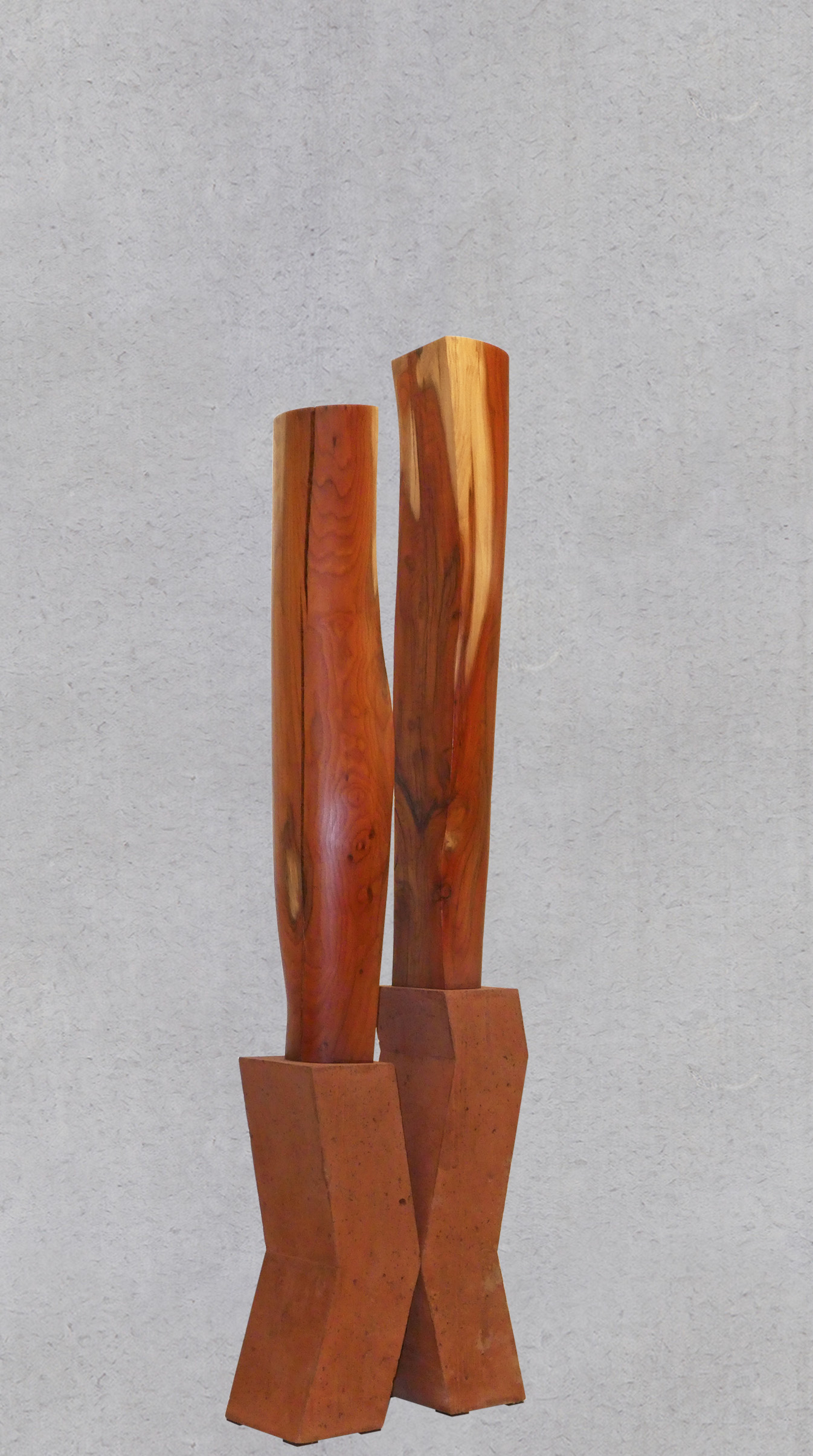 Eibe_3 / Höhe 106 cm