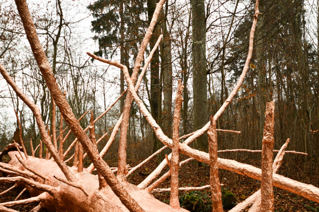 Titelbild des Events: Michel Comte «Clearings»