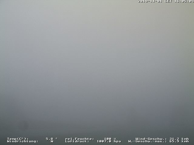 01.11.2019 16:05
