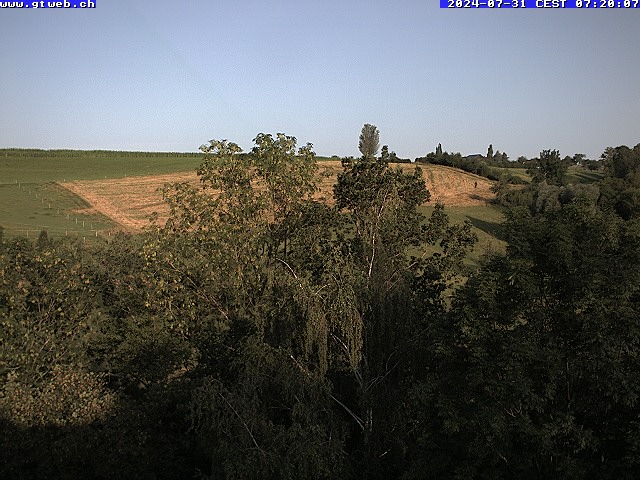 31.07.2024 07:45