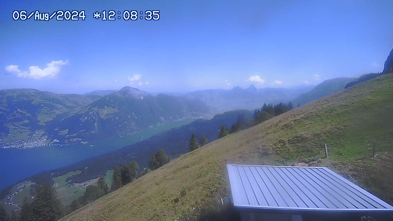 06.08.2024 12:01