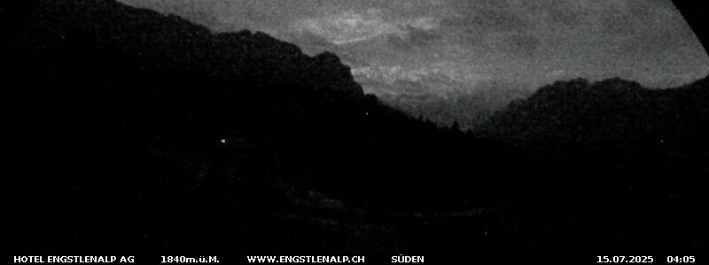 31h ago - 04:06