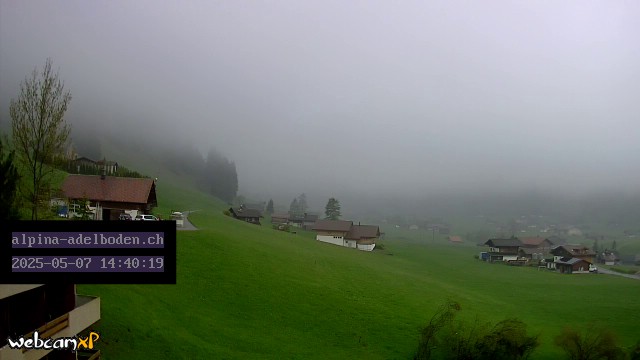 46h ago - 14:40