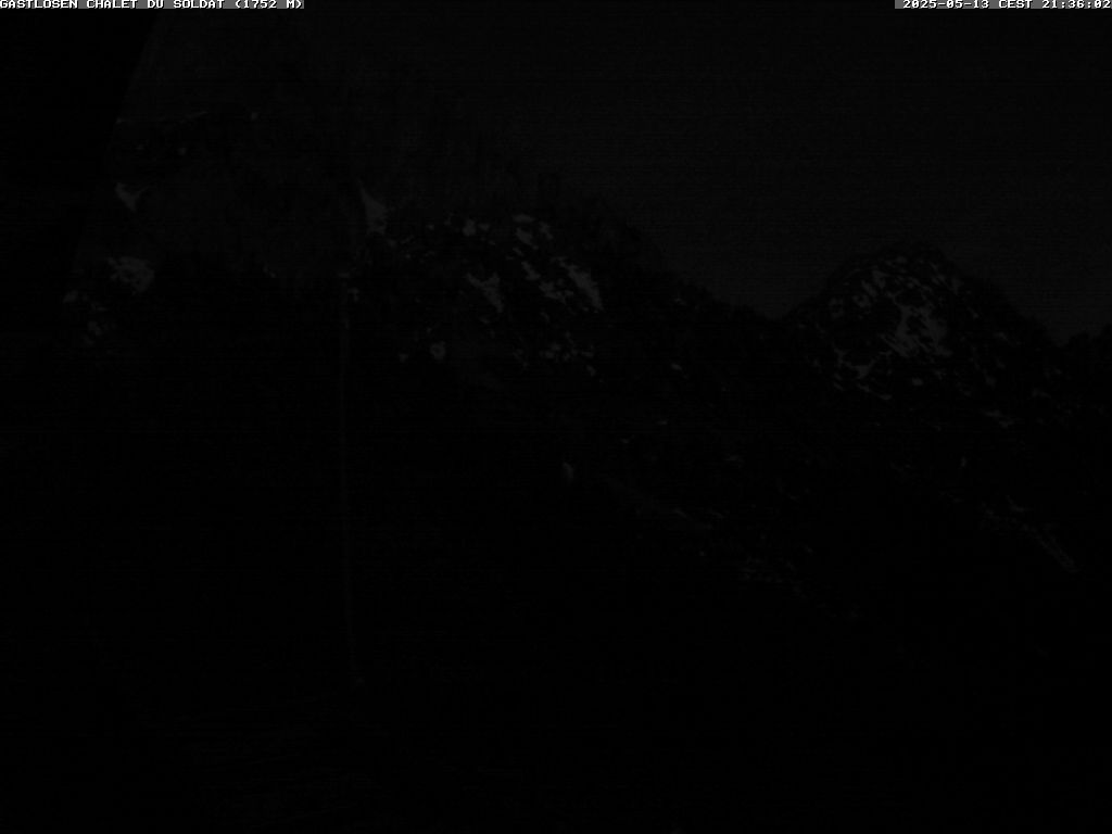 31h ago - 21:36