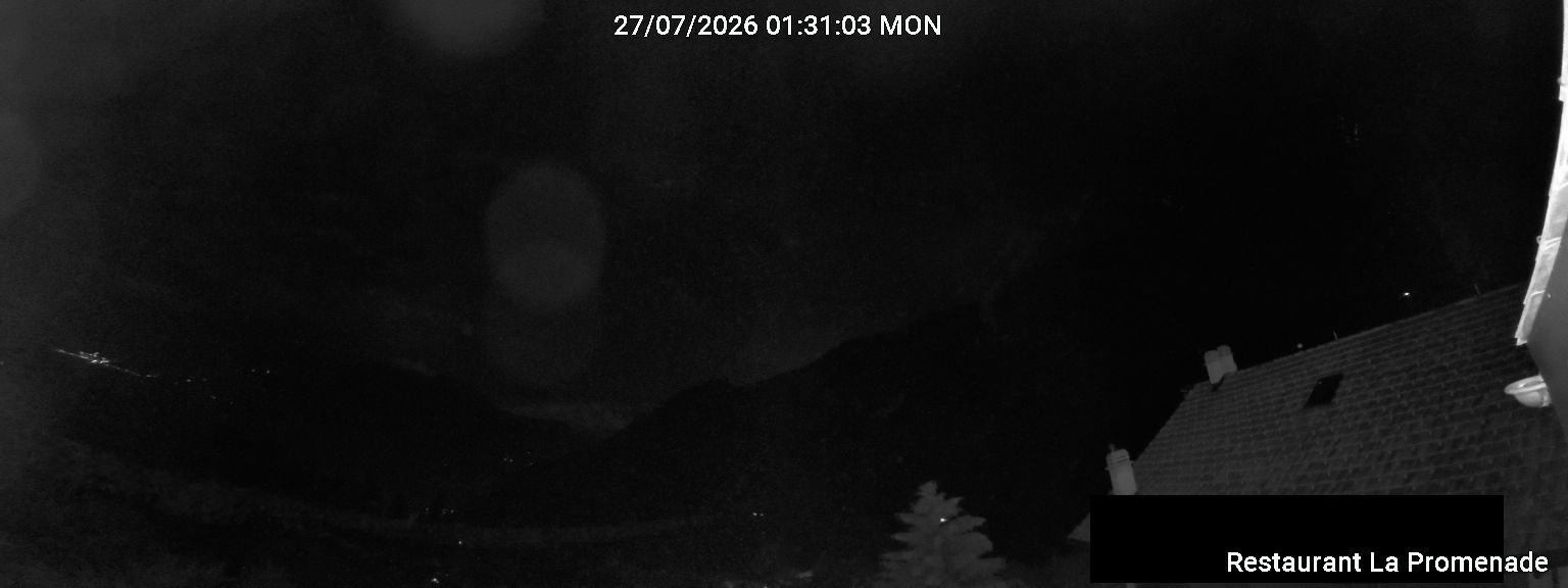 3h ago - 02:31