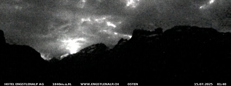 31h ago - 01:41