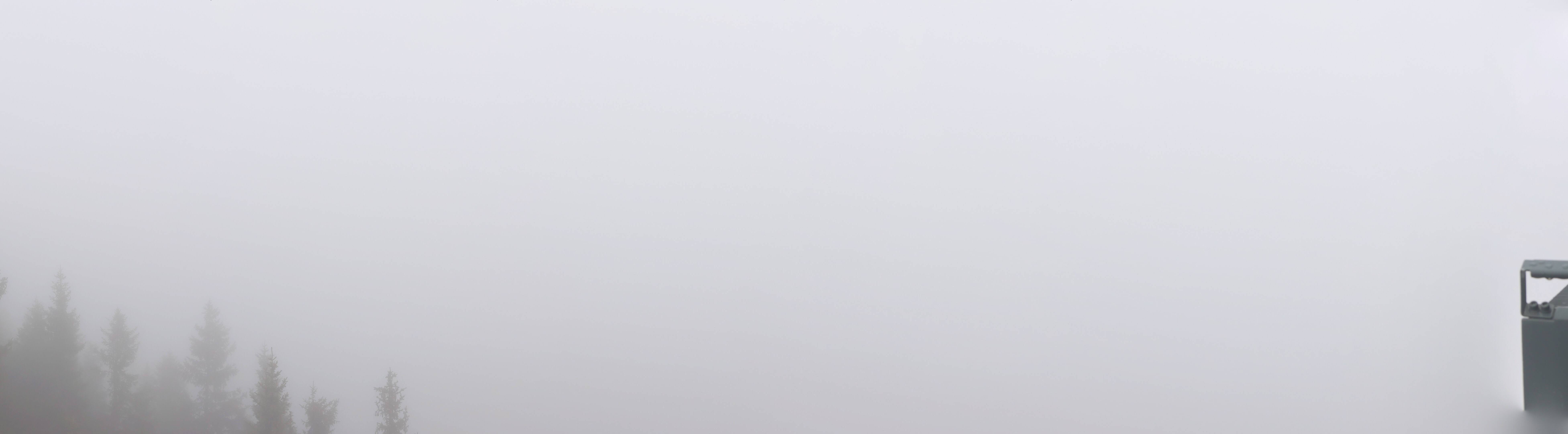14h ago - 13:54