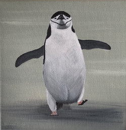 watschelnder Zügelpinguin, Oel auf Leinwand, 20 x 20 cm