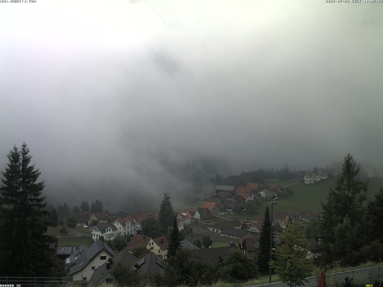 3h ago - 11:01