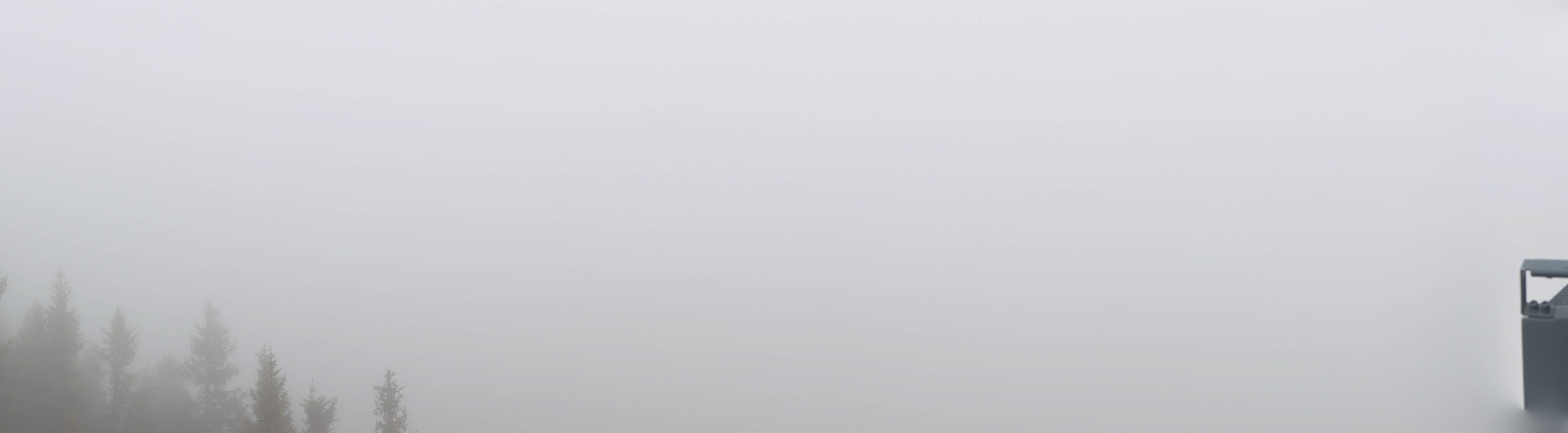 11h ago - 16:54