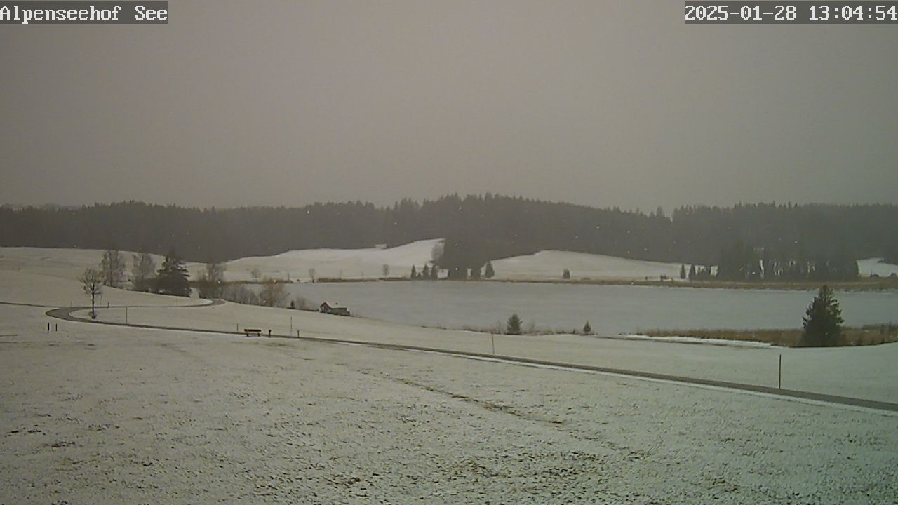 28.01.2025 12:04