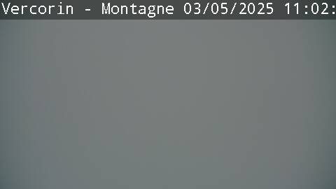 20h ago - 11:02