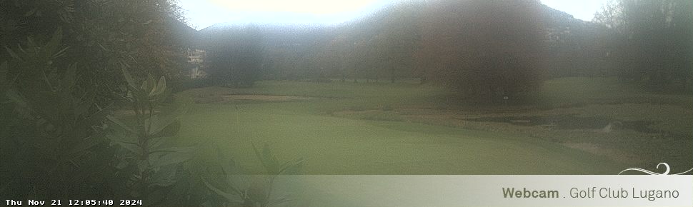 21.11.2024 12:06