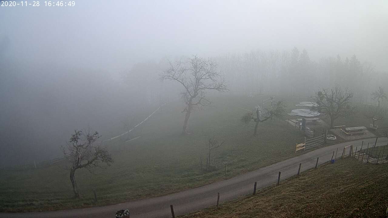 25h ago - 16:01