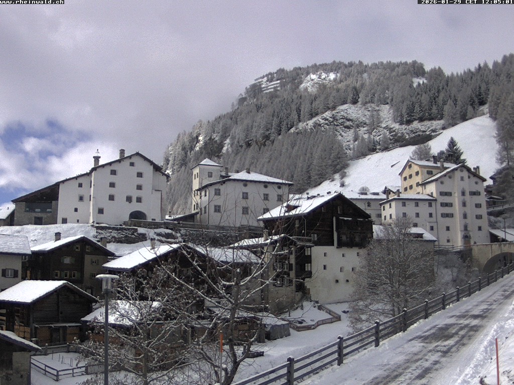 29.01.2026 12:05