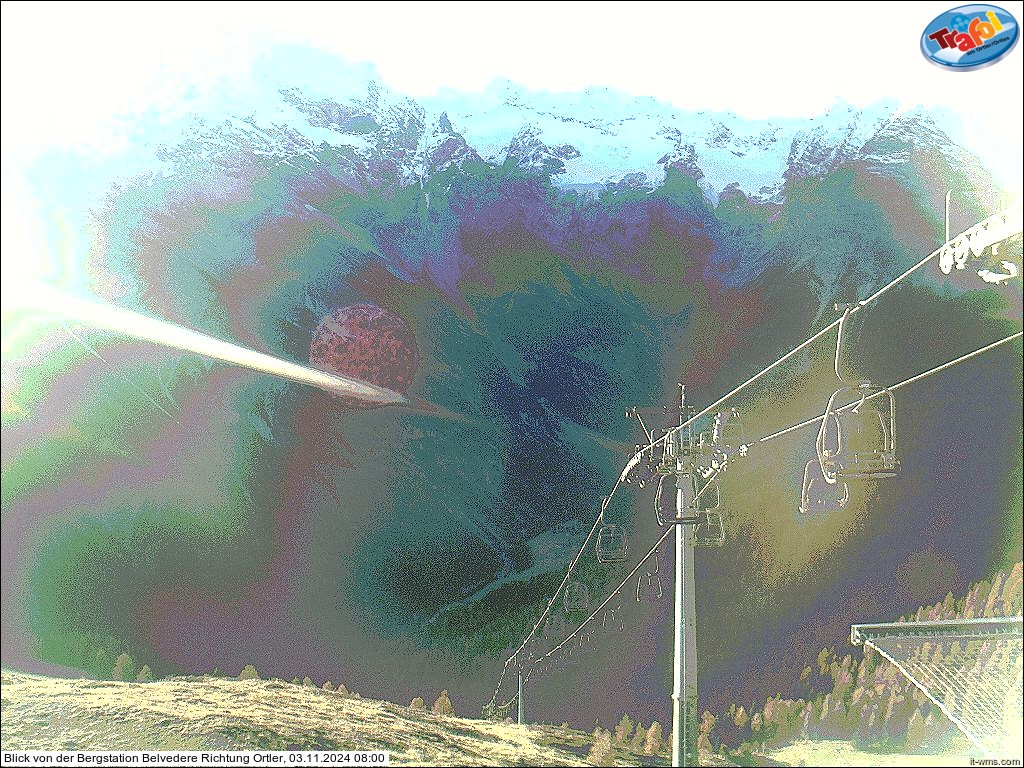 03.11.2024 08:00