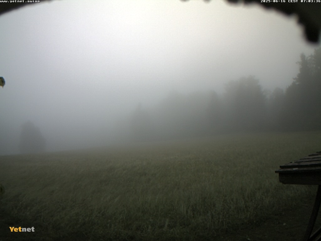 3h ago - 07:03