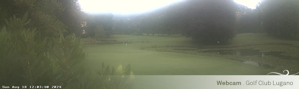 18.08.2024 12:03