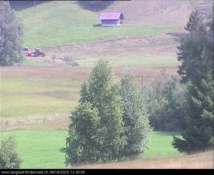 16.08.2025 12:10