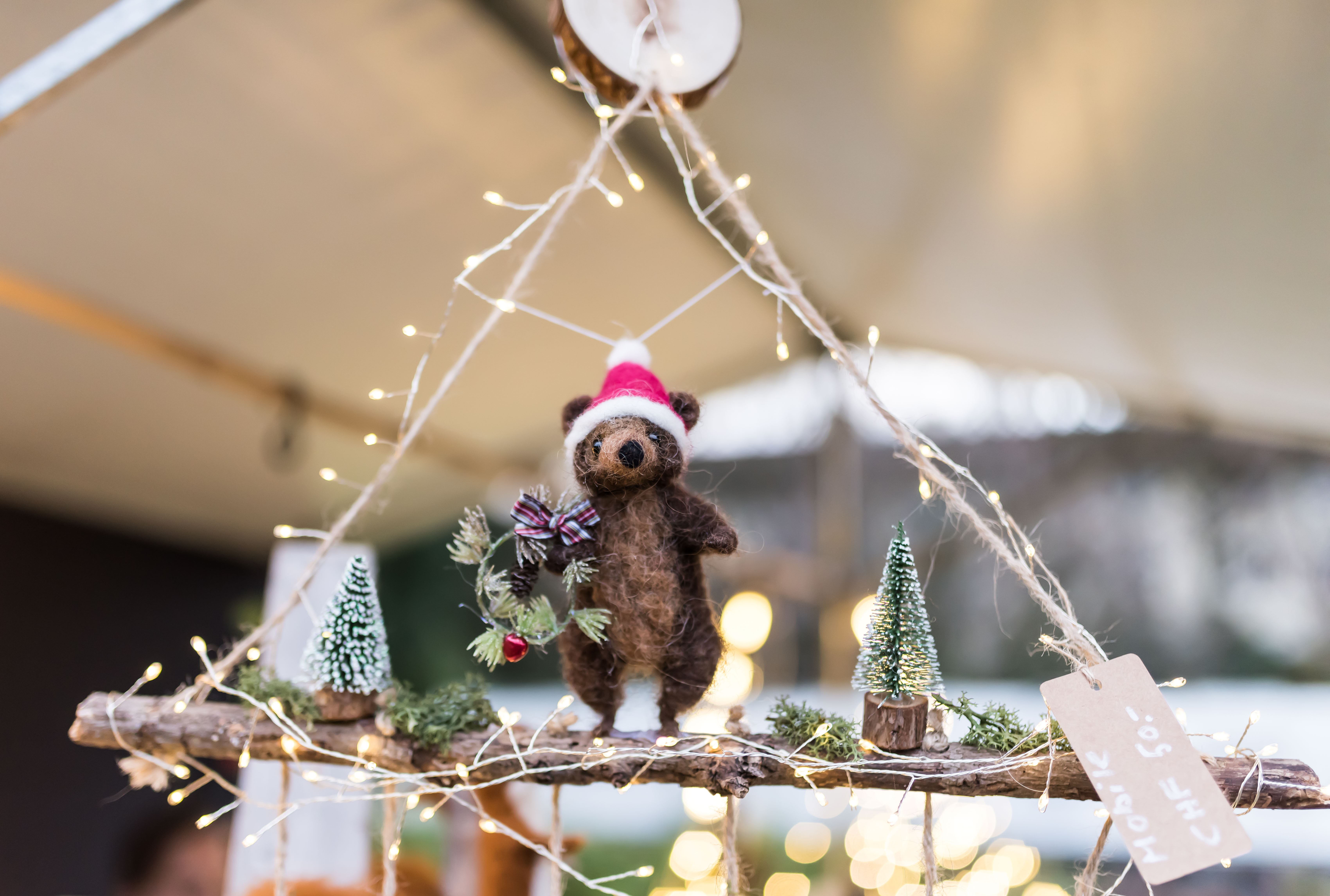 Titelbild des Events: Winter Wonderland