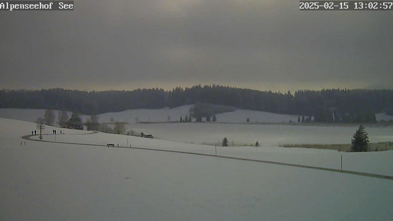 15.02.2025 12:02