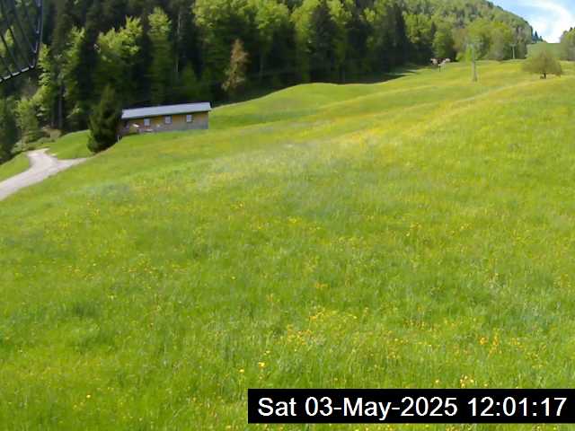 03.05.2025 12:01