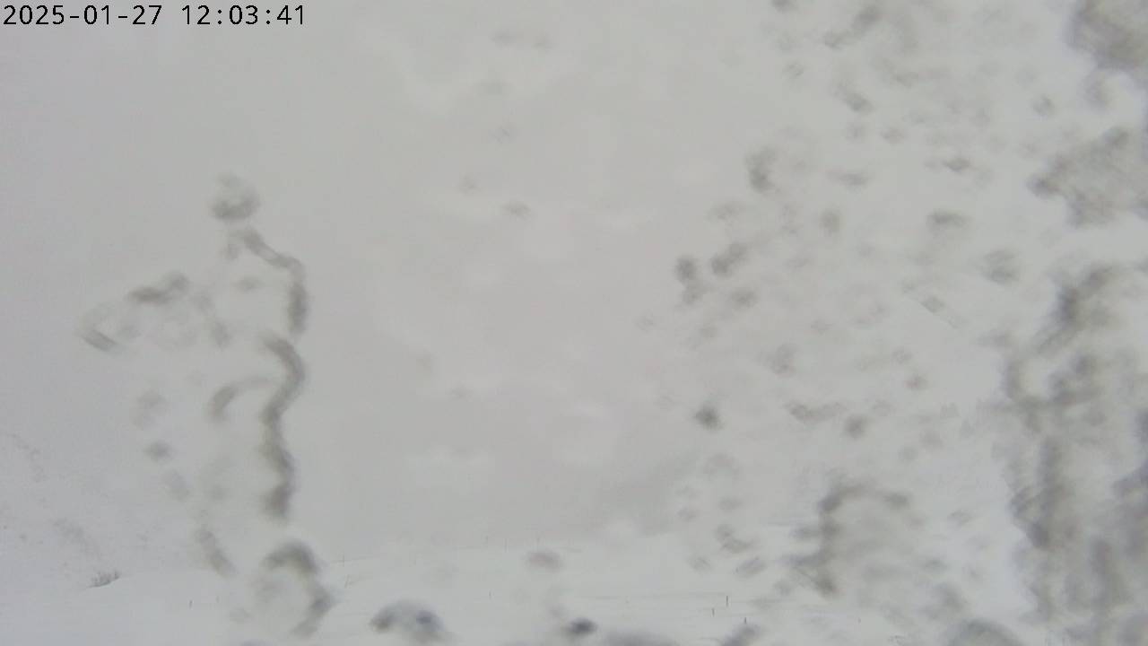 27.01.2025 12:03