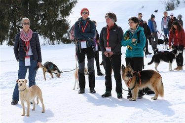 Winter-Military am Flumserberg - 1