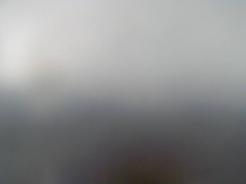 11.02.2025 12:02