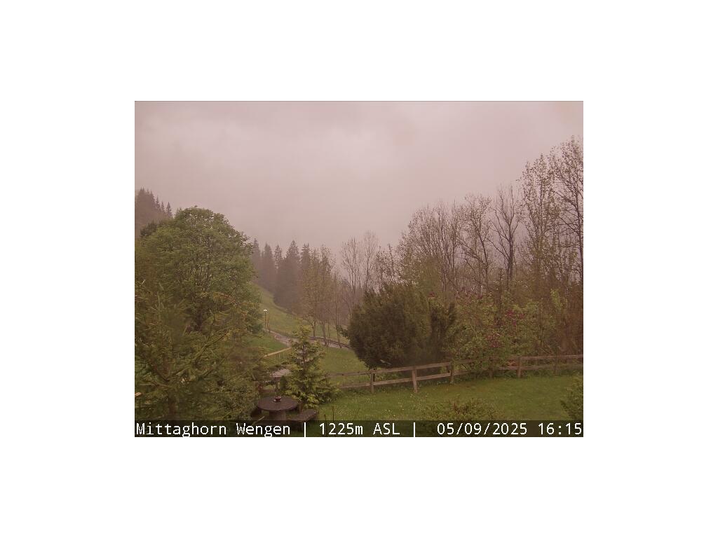 12h ago - 17:43