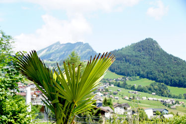 Bijou am Bach Sitzplatz