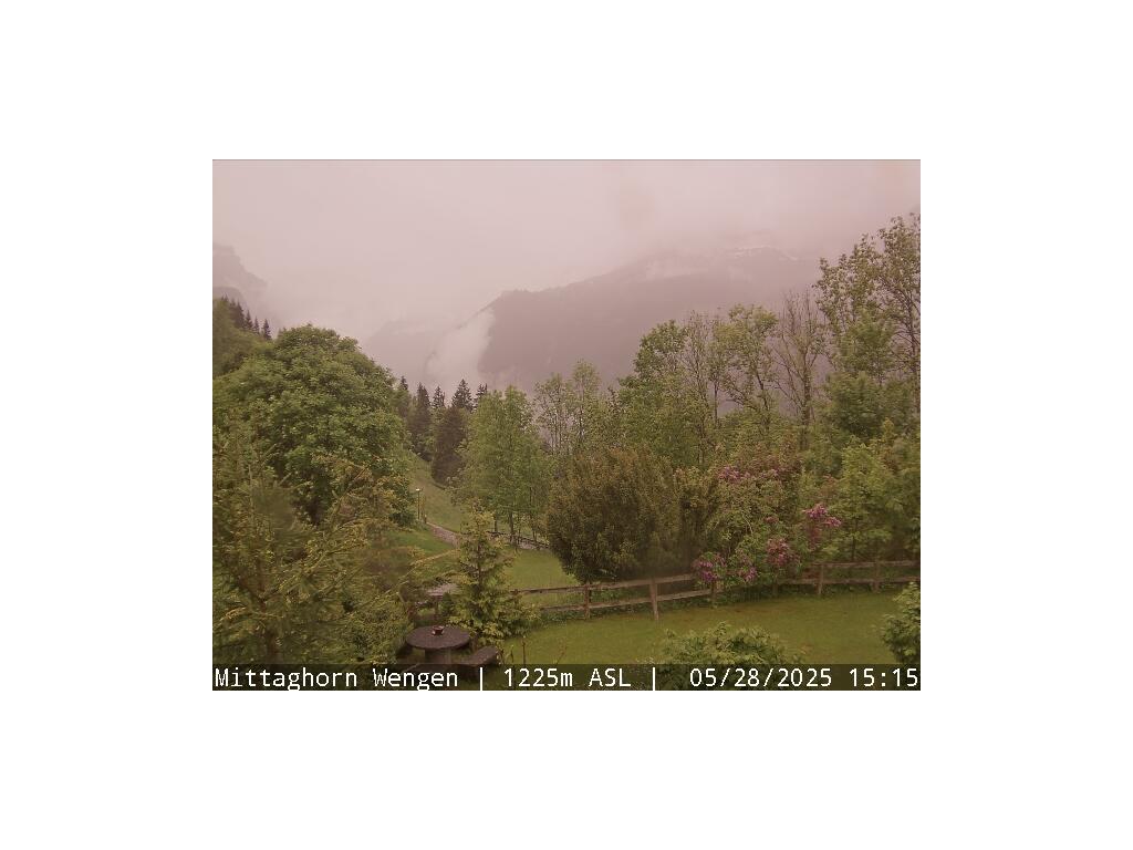 15h ago - 16:43