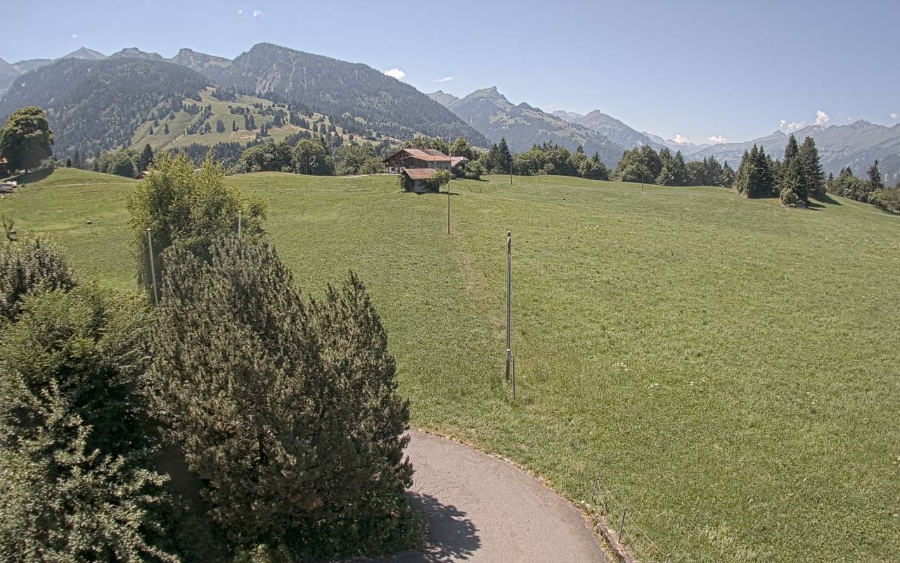 29.06.2025 12:10