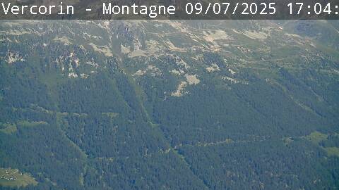 35h ago - 17:04