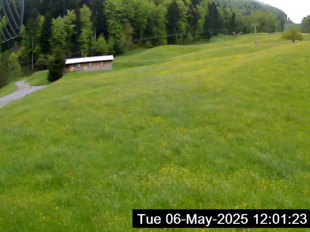 06.05.2025 12:01