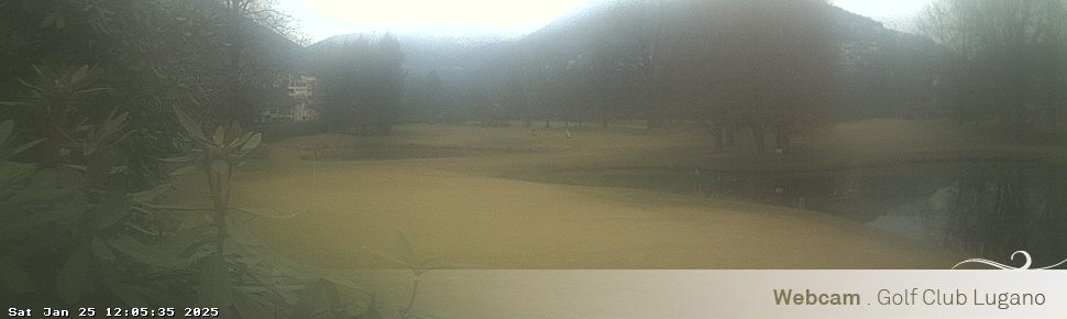 25.01.2025 12:05