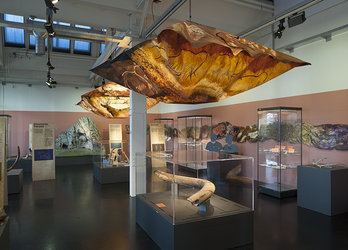 Blick in die Sonderausstellung. Foto: Museum für Urgeschichte(n) Zug, Res Eichenberger.
