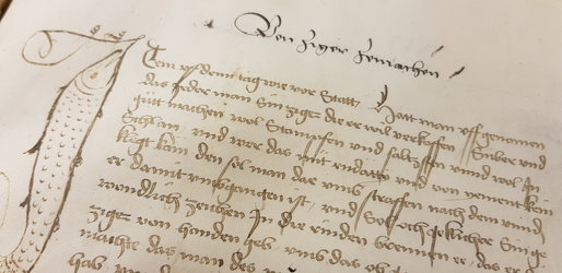 Kontrollierte Qualität und Herstellerbezeichnung für Ziger 1463
